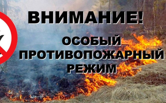 В Барабинском районе введен особый противопожарный режим